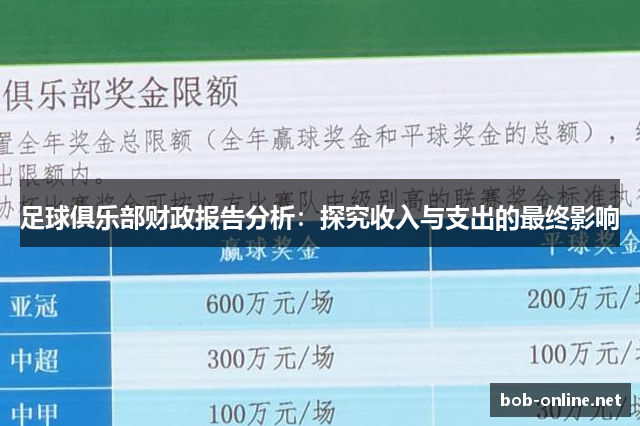 足球俱乐部财政报告分析：探究收入与支出的最终影响