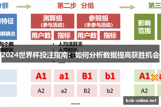 2024世界杯投注指南：如何分析数据提高获胜机会